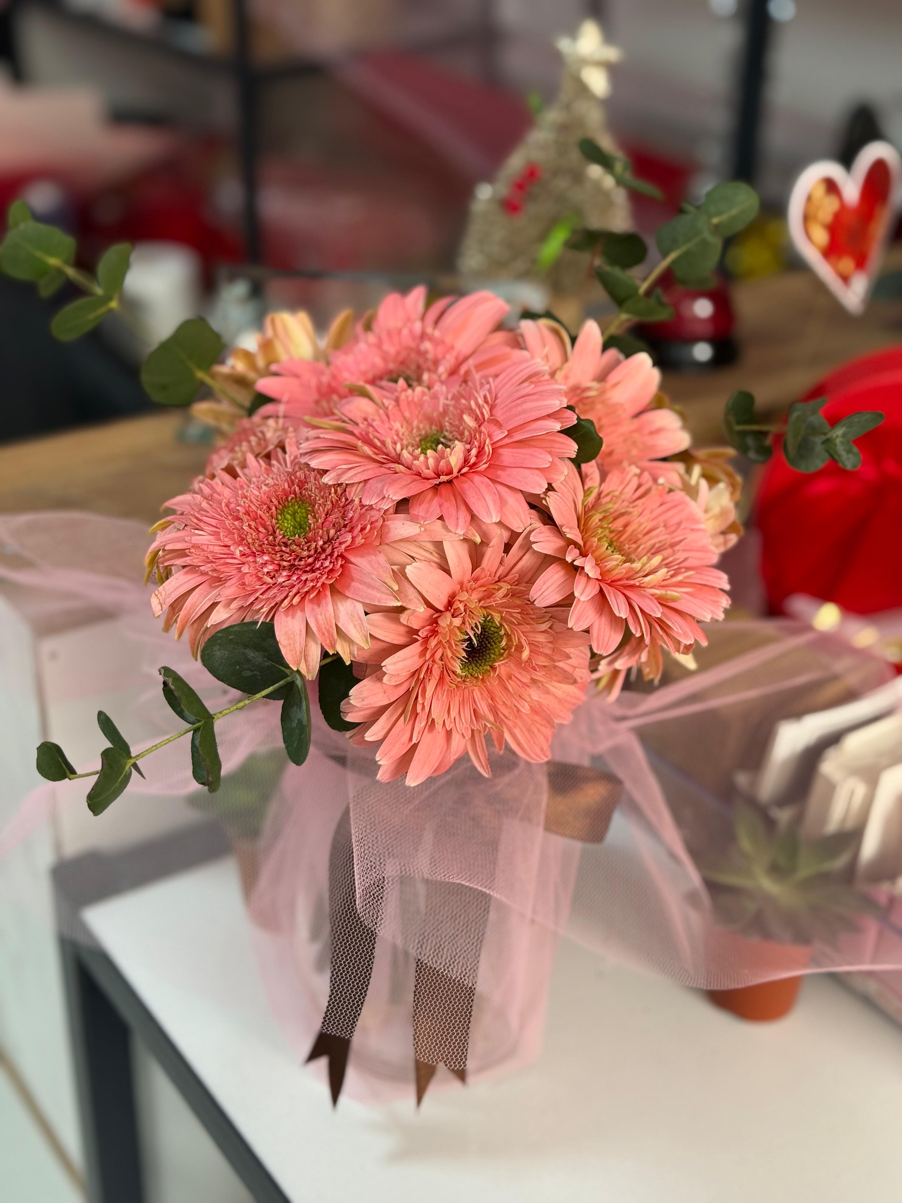 Gerbera